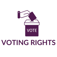 a ballot box and text reading "voting rights"