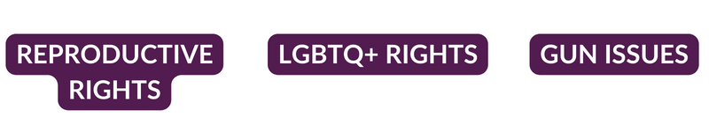 REPRODUCTIVE RIGHTS, LGBTQ+ RIGHTS, GUN ISSUES
